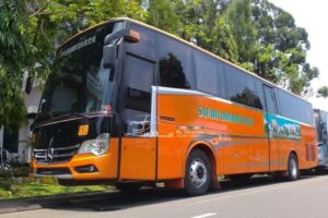 agen bus safari dharma raya lombok
